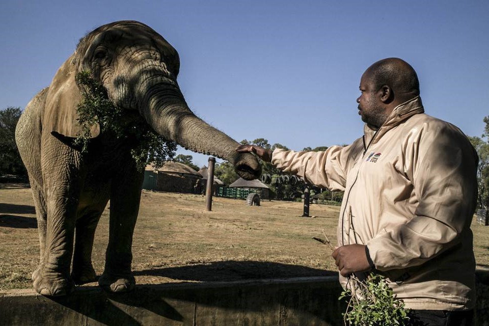 Joburg zoo